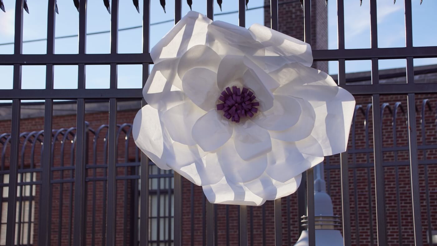 White Flower Decoration Latin Fest